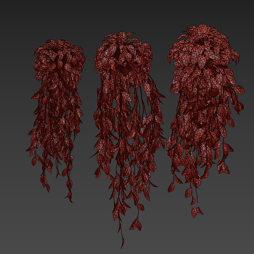 3D plant vol 827 - Hanging - Pothos - Araceae - Ampelous - devils ivy model https://p.turbosquid.com/ts-thumb/q0/bTGEgS/pO/6/jpg/1769357700/1920x1080/fit_q87/06a4c48b0743a1fb346bb7928479d715fd4f2756/6.jpg