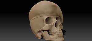 Peruvian Army Beret Skull Printable and Renderable Model