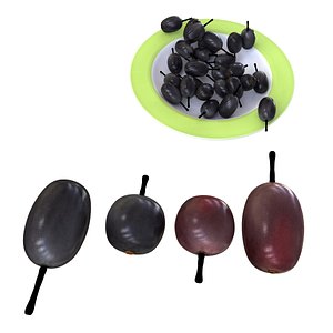 fruits model