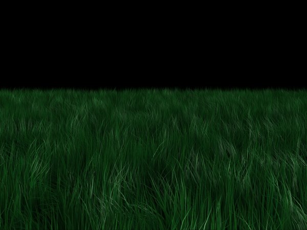 realistic grass 3d model