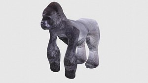 Gorilla