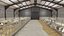 Collection de ferme ovine