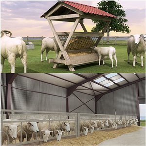 Sheep Farm Collection