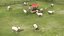 Collection de ferme ovine