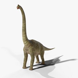 Brachiosaurus - Rigged PBR