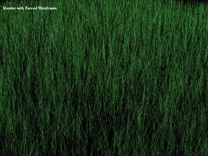 grass gras 3d model