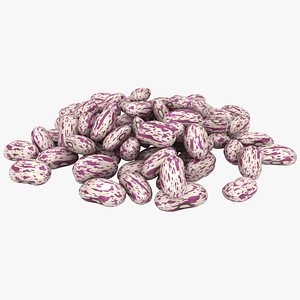 realistic light kidney bean 3D