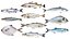 Fish 10 in 1 -Saltwater Fish 3D model