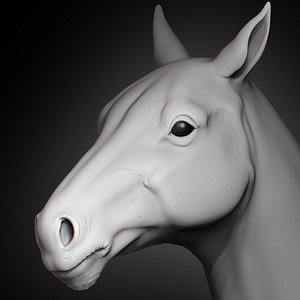 horse head 2019 3D
