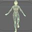 woman female girl 3d model