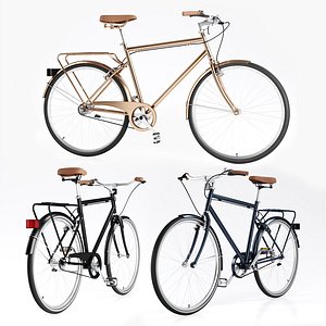 Bike Vintage Roadster