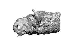 3D model bull yak head