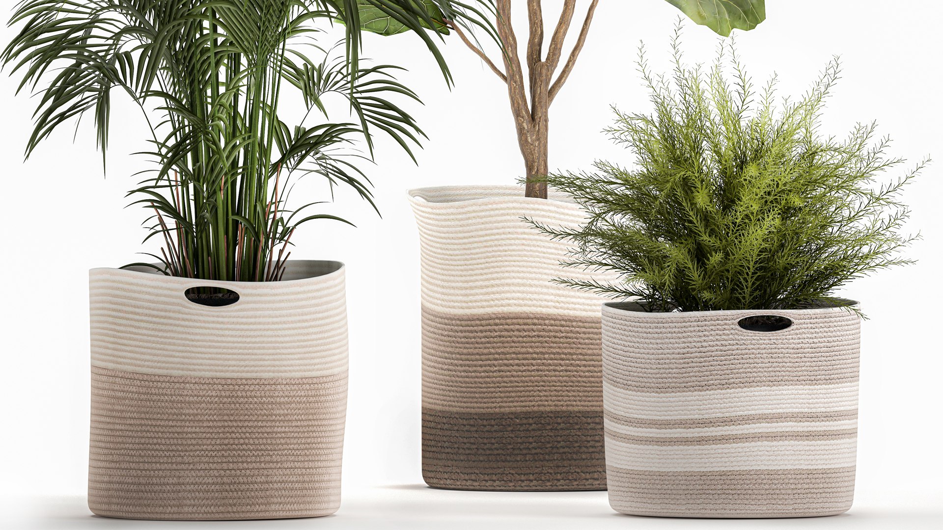 Ornamental plants in fabric baskets for decoration 1092 3D model https://p.turbosquid.com/ts-thumb/q2/0KHNbl/0q/1plants0401202204/jpg/1641393061/1920x1080/fit_q87/5573c6529f55665e67051174ab72a384032a0884/1plants0401202204.jpg