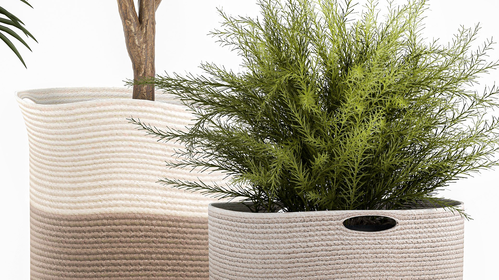 Ornamental plants in fabric baskets for decoration 1092 3D model https://p.turbosquid.com/ts-thumb/q2/0KHNbl/8m/1plants0401202206/jpg/1641393067/1920x1080/fit_q87/7e1f4826a93aacb86a5f0808b5374896e16b8d6c/1plants0401202206.jpg