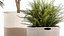 Ornamental plants in fabric baskets for decoration 1092