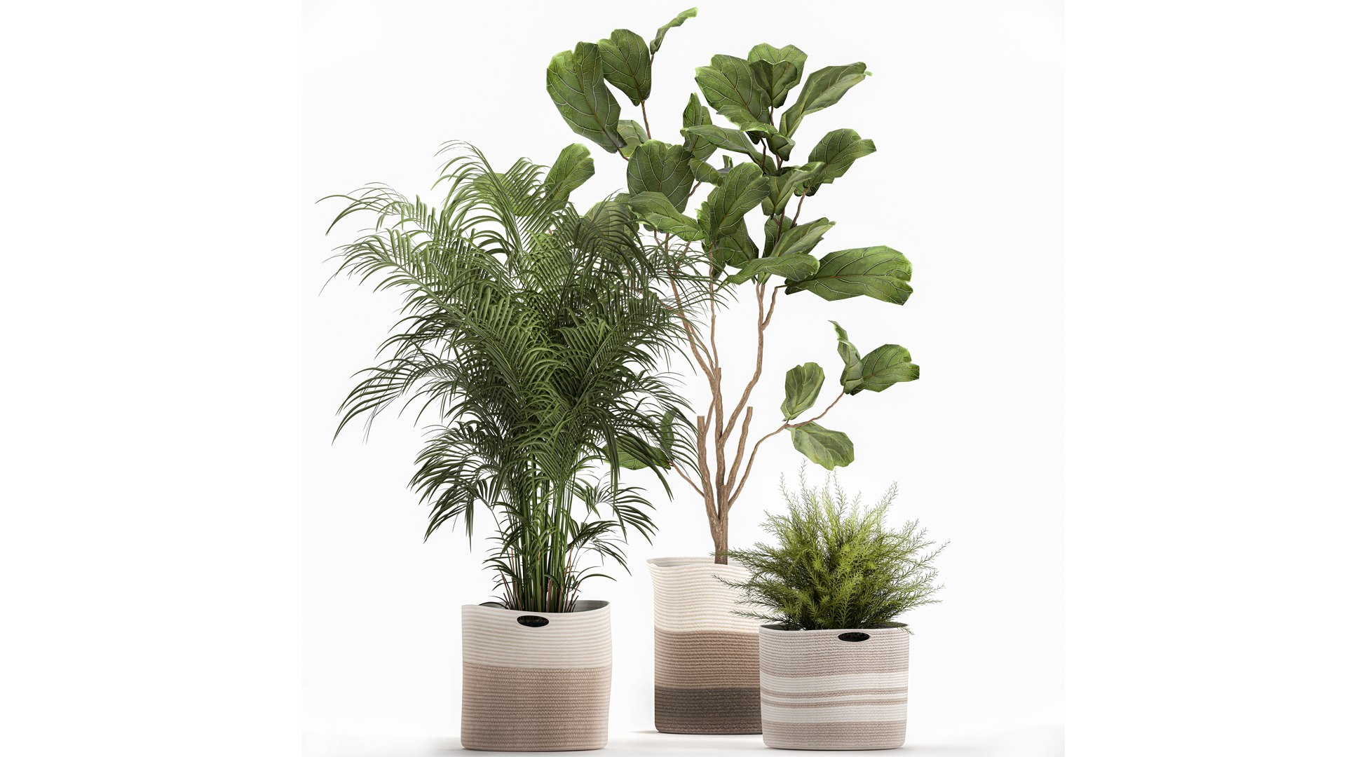 Ornamental plants in fabric baskets for decoration 1092 3D model https://p.turbosquid.com/ts-thumb/q2/0KHNbl/K7/1plants0401202202/jpg/1641393059/1920x1080/fit_q87/7192e258b8d08ae689ed5e8aed1d863b35550d3a/1plants0401202202.jpg