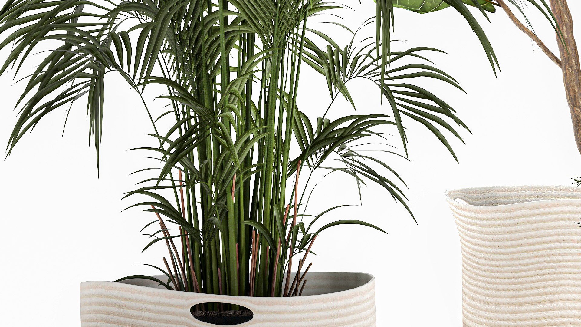 Ornamental plants in fabric baskets for decoration 1092 3D model https://p.turbosquid.com/ts-thumb/q2/0KHNbl/cr/1plants0401202207/jpg/1641393060/1920x1080/fit_q87/03754d8f944a719956d22d59f47f90542cb984a1/1plants0401202207.jpg