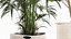 Ornamental plants in fabric baskets for decoration 1092