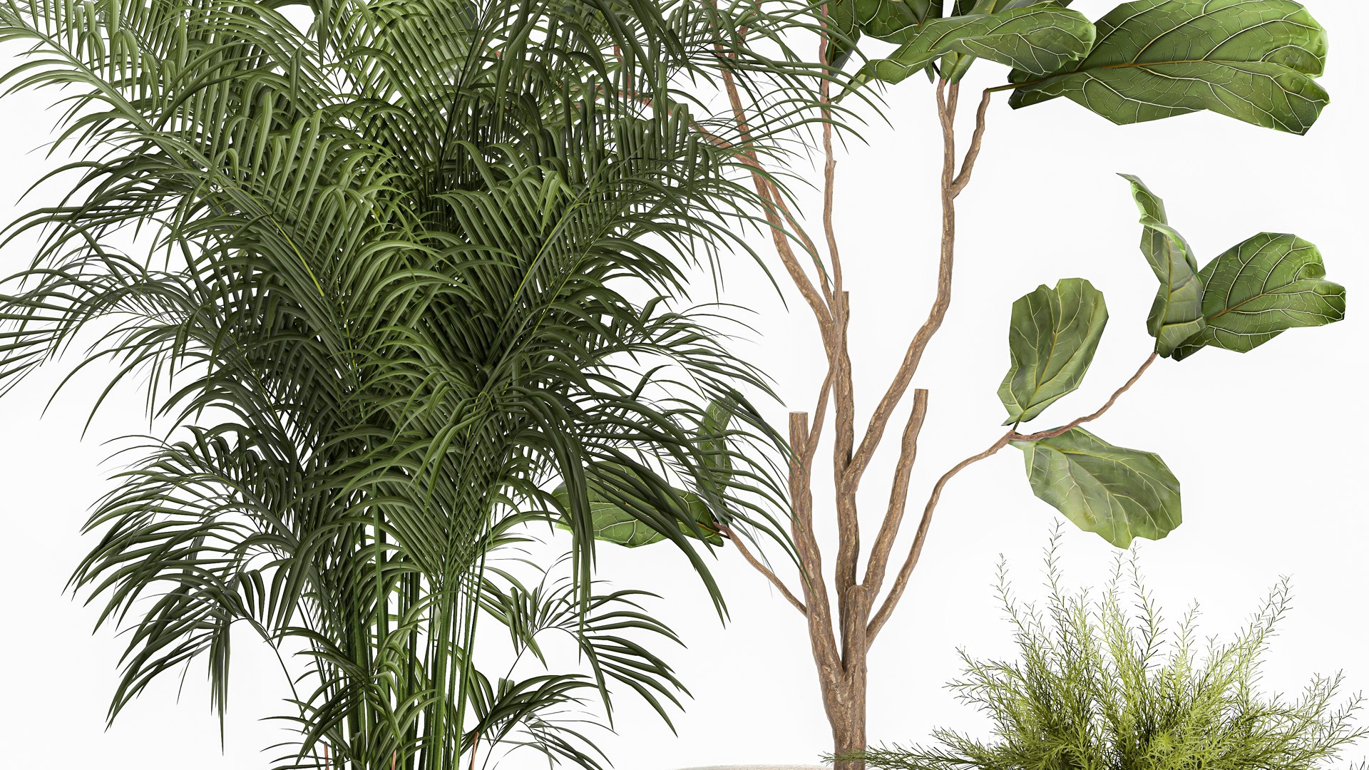 Ornamental plants in fabric baskets for decoration 1092 3D model https://p.turbosquid.com/ts-thumb/q2/0KHNbl/mF/1plants0401202203/jpg/1641393056/1920x1080/fit_q87/64ea2218ebfde3b9abe0fe6836b94be942a1f9ac/1plants0401202203.jpg