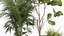 Ornamental plants in fabric baskets for decoration 1092
