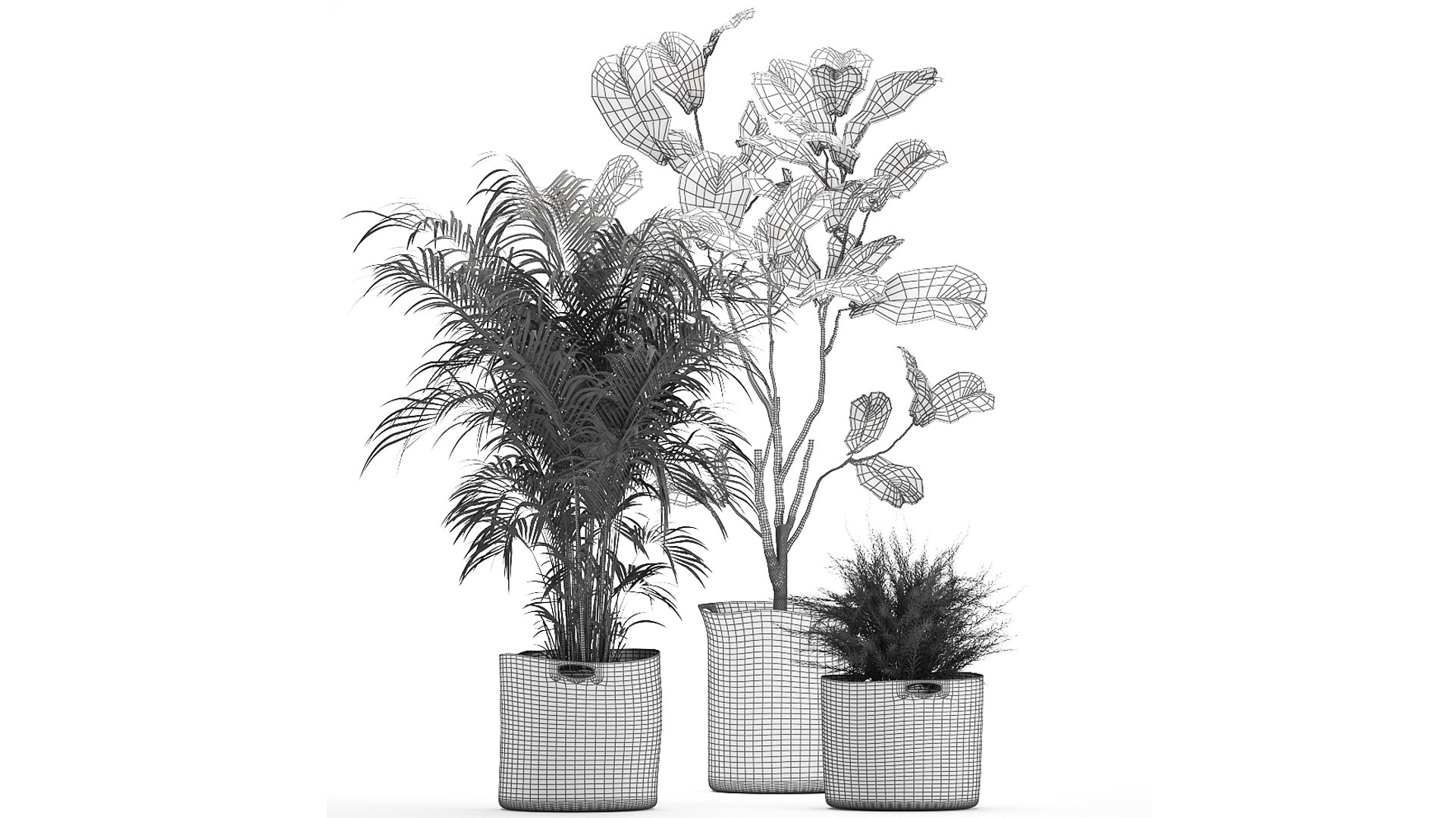 Ornamental plants in fabric baskets for decoration 1092 3D model https://p.turbosquid.com/ts-thumb/q2/0KHNbl/nF/1plants0401202209/jpg/1641393054/1920x1080/fit_q87/2abd50eea99bd5733f833ece533dd7eb056c6ef0/1plants0401202209.jpg
