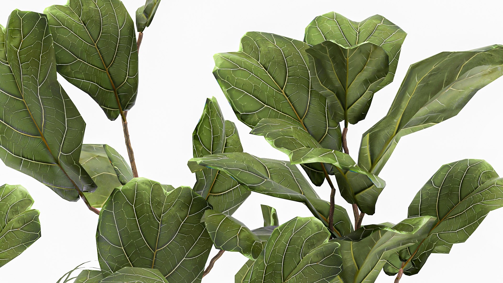 Ornamental plants in fabric baskets for decoration 1092 3D model https://p.turbosquid.com/ts-thumb/q2/0KHNbl/t6/1plants0401202205/jpg/1641393062/1920x1080/fit_q87/626945697bc2d65bc927f7c9c74c968982b22433/1plants0401202205.jpg