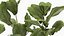 Ornamental plants in fabric baskets for decoration 1092