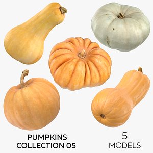 Pumpkins Collection 05 - 5 models 3D model