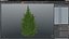 Holly Tree