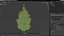 Holly Tree