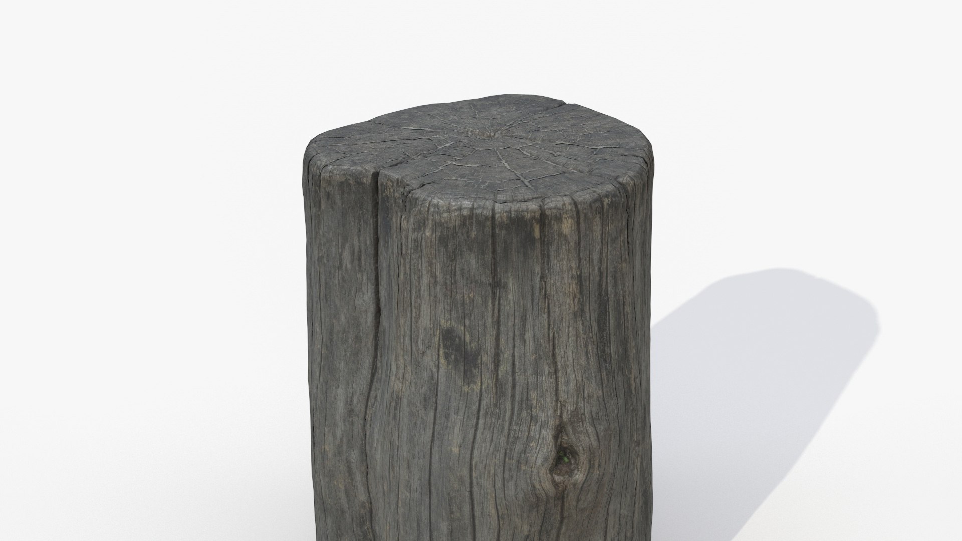 Scanned Wood Log 3D Model - TurboSquid 1234364