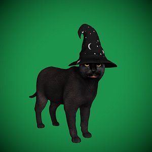 Halloween Black Cat 3D model