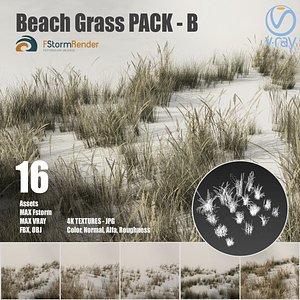 Beach grass pack B