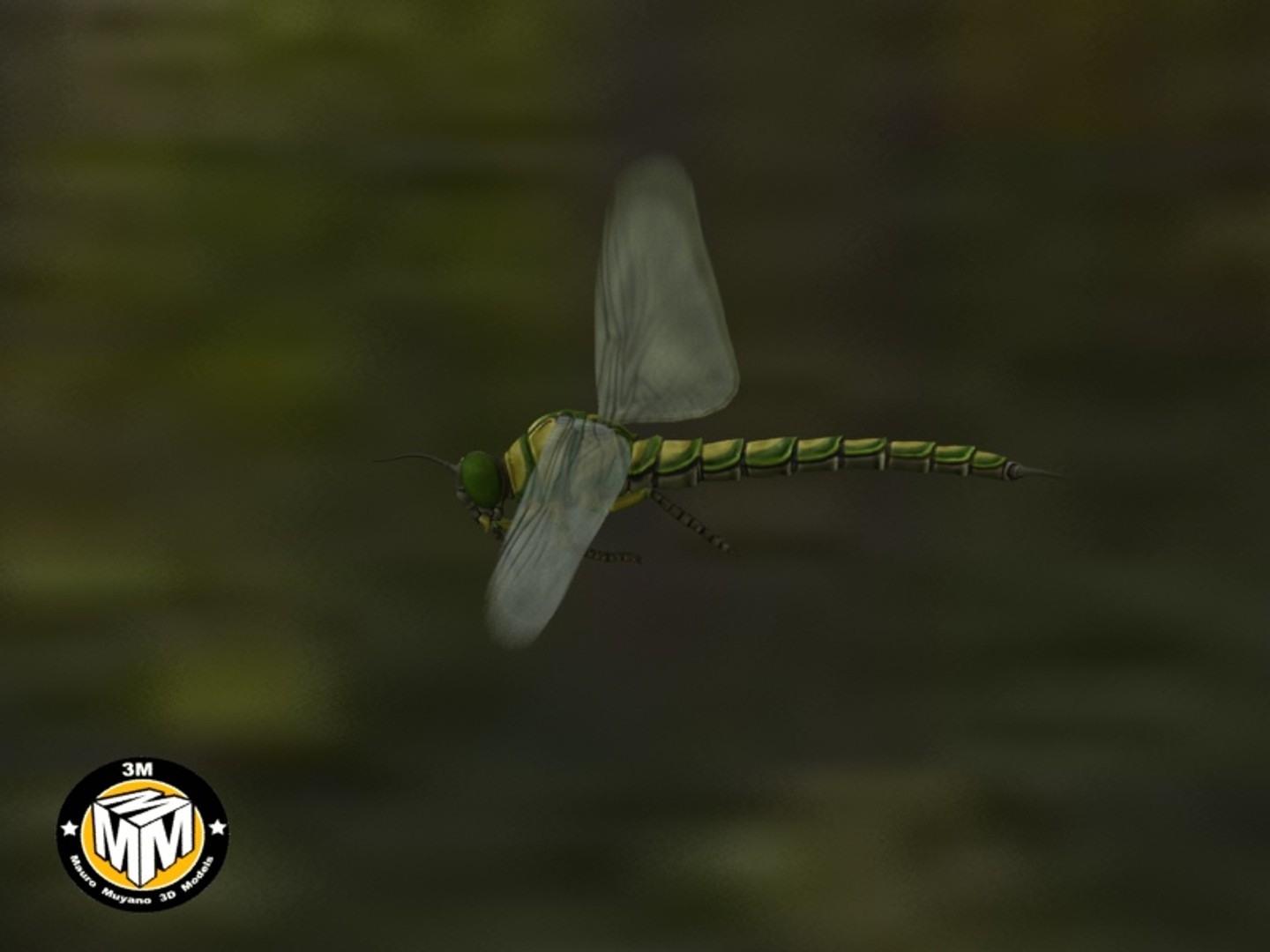 Max Insect Carboniferous