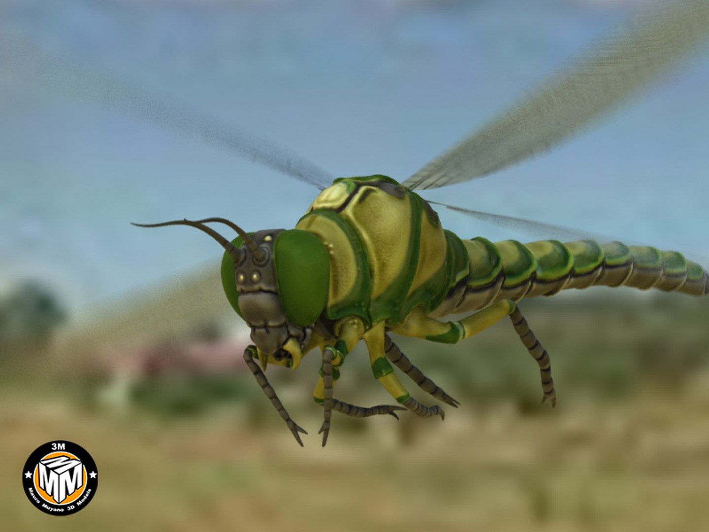 Max Insect Carboniferous