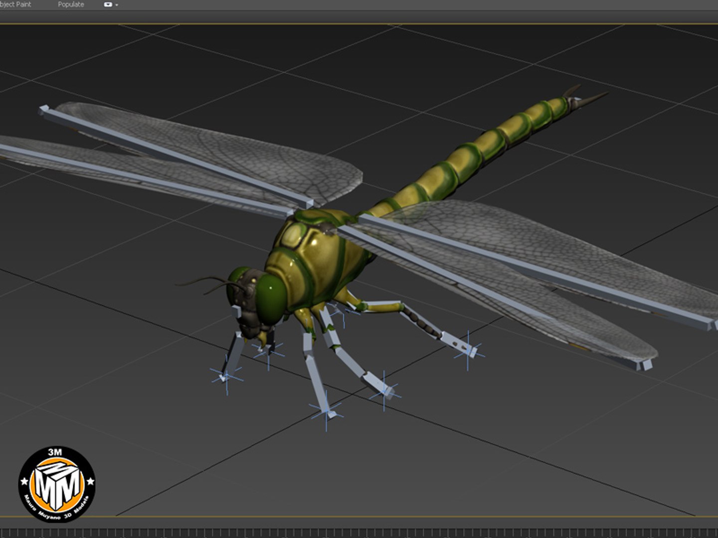 Max Insect Carboniferous