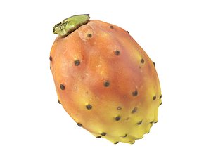 3D photorealistic scanned prickly pear model