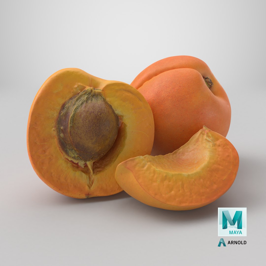 3D Whole and Halved Apricot with Slice model https://p.turbosquid.com/ts-thumb/q2/gk6fWS/EA/stemcell_maya_arnold_render/png/1785161695/1920x1080/fit_q87/e021073349c14a652cb1ead389c471650697cb03/stemcell_maya_arnold_render.jpg