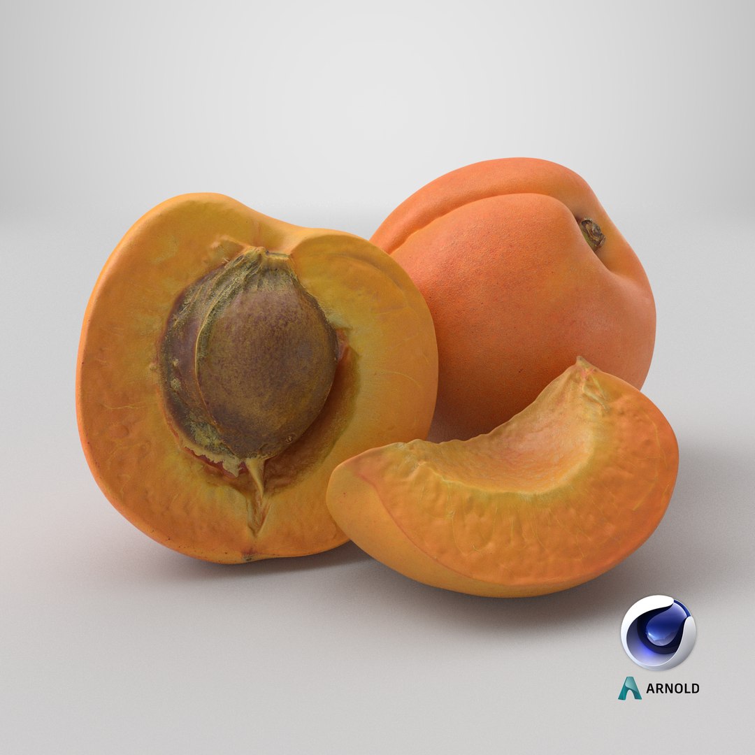 3D Whole and Halved Apricot with Slice model https://p.turbosquid.com/ts-thumb/q2/gk6fWS/Yg/stemcell_cinema_4d_arnold_render/png/1785161699/1920x1080/fit_q87/c12944fcaa8e9e2426609111bc9afdbe32025eb8/stemcell_cinema_4d_arnold_render.jpg