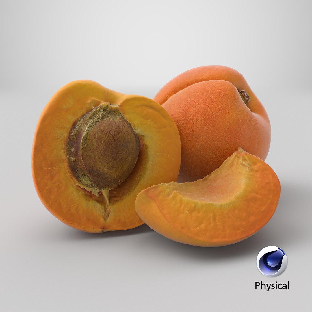 3D Whole and Halved Apricot with Slice model https://p.turbosquid.com/ts-thumb/q2/gk6fWS/bX/stemcell_cinema_4d_physical_render/png/1785161702/1920x1080/fit_q87/619cd7422802ec397d7dba77c4cfb3e95a03264c/stemcell_cinema_4d_physical_render.jpg