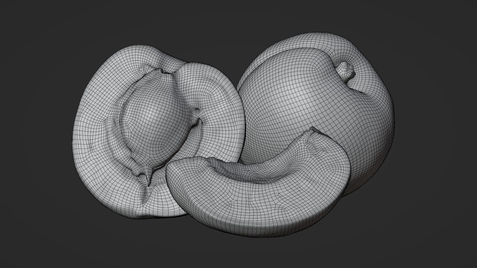 3D Whole and Halved Apricot with Slice model https://p.turbosquid.com/ts-thumb/q2/gk6fWS/cO/apricot03_d0008/png/1784977615/1920x1080/fit_q87/d0e6f2a5a38e635d84942ae91a0afc7913392d69/apricot03_d0008.jpg
