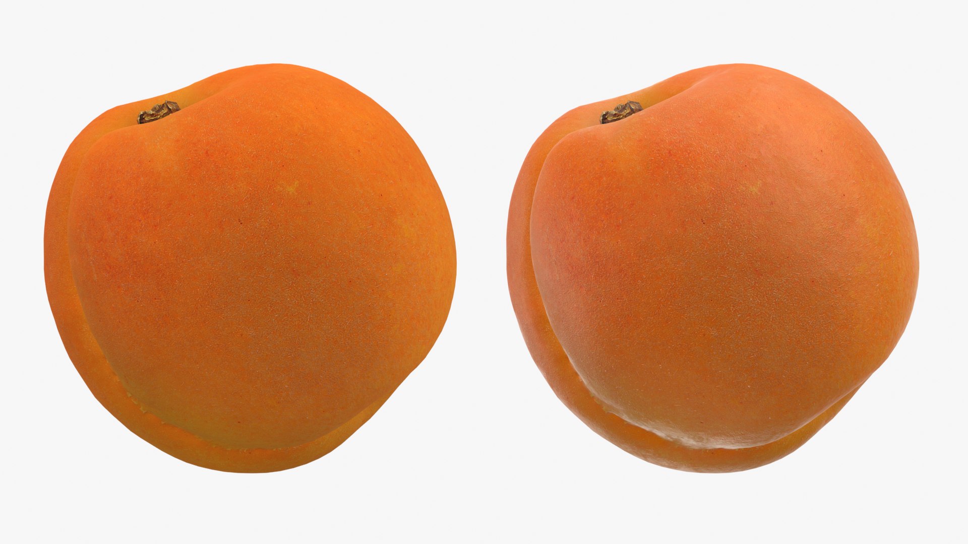 3D Whole and Halved Apricot with Slice model https://p.turbosquid.com/ts-thumb/q2/gk6fWS/q3/apricot03_d0010/png/1784977611/1920x1080/fit_q87/ce764796a6105b93544b539f441b020f324f6c3d/apricot03_d0010.jpg