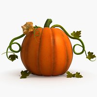 Pumpkin