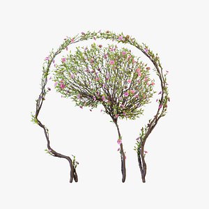 Growing Tree shaped as human brain animation