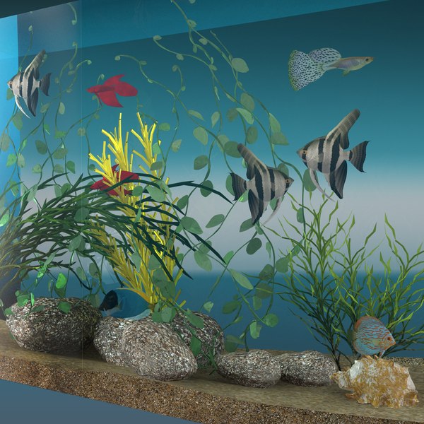 3d aquarium screensaver