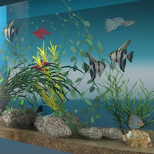 Aquarium