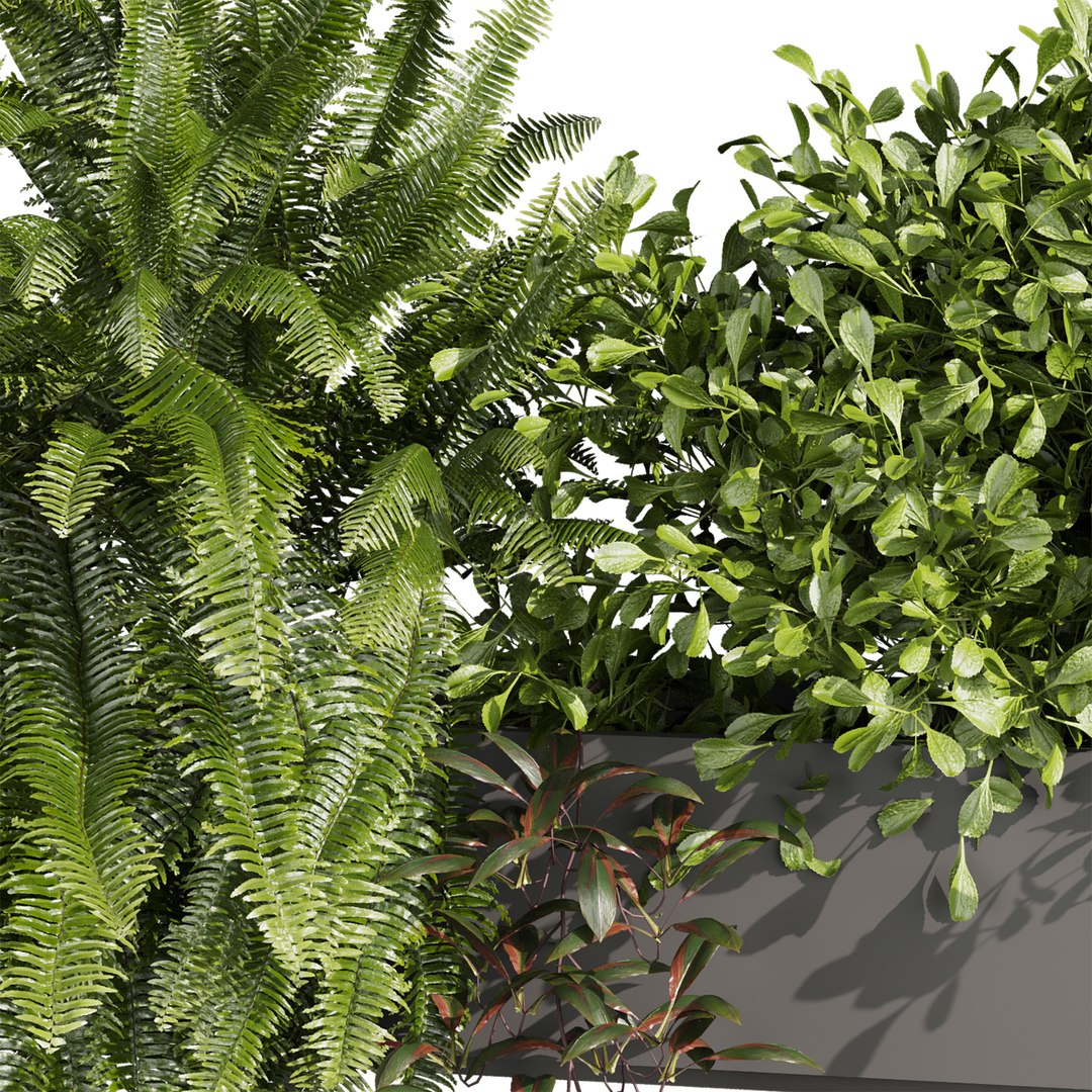 plant vol 1059 - fern - bush - leaf - box 3D https://p.turbosquid.com/ts-thumb/q2/oBx7Ab/0d/3/jpg/1791731883/1920x1080/fit_q87/9a10f2a886c6dec44107ba51d2cd0f043bdecbcd/3.jpg