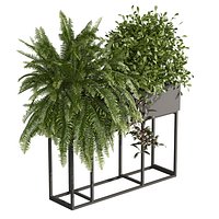 plant vol 1059 - fern - bush - leaf - box
