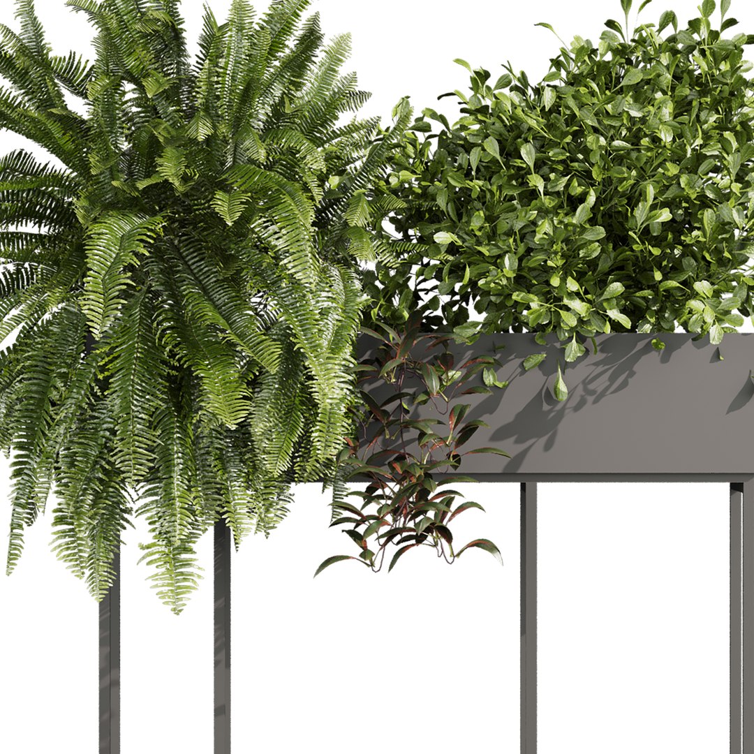 plant vol 1059 - fern - bush - leaf - box 3D https://p.turbosquid.com/ts-thumb/q2/oBx7Ab/FP/4/jpg/1791731884/1920x1080/fit_q87/d0333804d83f5d10d776ab8d17450034ad29ca45/4.jpg
