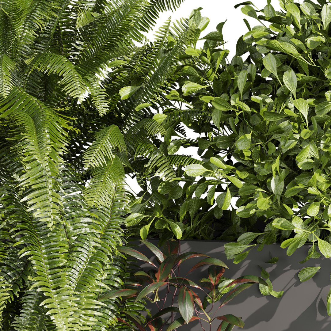 plant vol 1059 - fern - bush - leaf - box 3D https://p.turbosquid.com/ts-thumb/q2/oBx7Ab/dM/5/jpg/1791731885/1920x1080/fit_q87/b3d9a109d1ea8abd9a6c024a01a4a7b16ca5f748/5.jpg